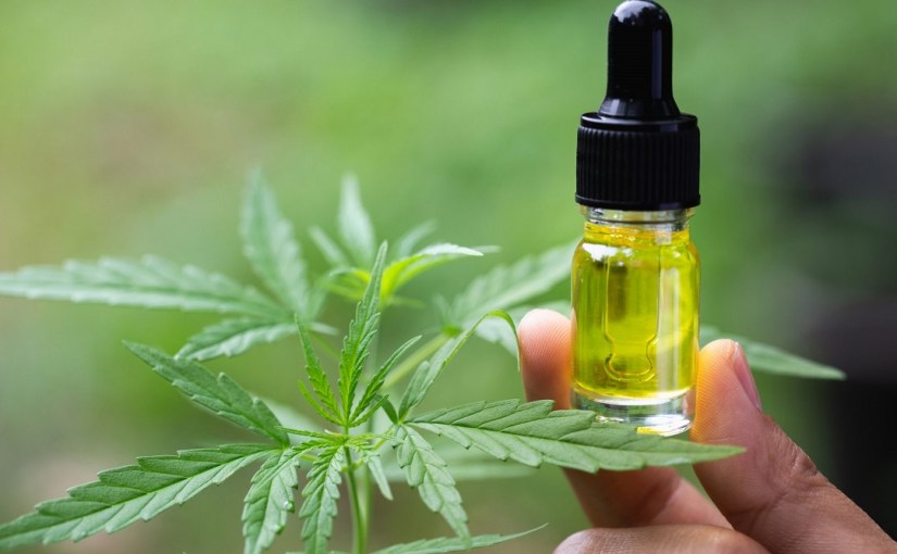 What are the Different Ways You Can Consume CBD&nbsp;Oil?